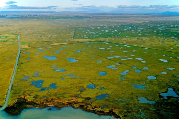 The Flói Bird Reserve - Fuglavernd.is