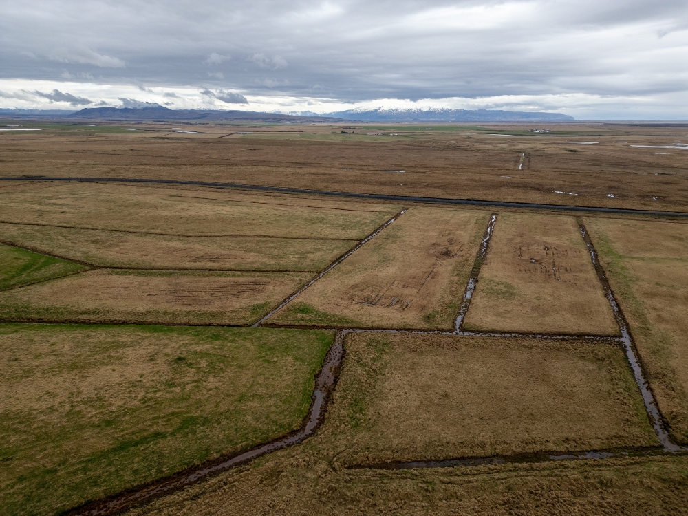 Skurðir við Odda ERF svæði. Ljósmyndari RSPB Nick Williams