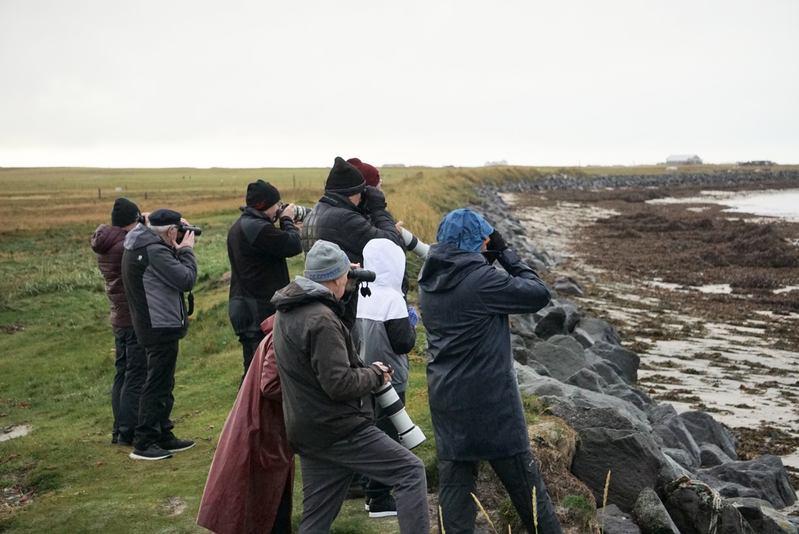 Fuglaskoðun 11. október 2025 Mynd: Bára Huld Beck