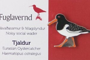 Barmmerki; tjaldur