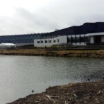 Norræna húsið og Hústjörn