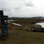 Stóll til fuglaskoðunar