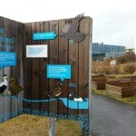 Skilti - Varpfuglar í Vatnsmýrinni Skilti - Varpfuglar í Vatnsmýrinni