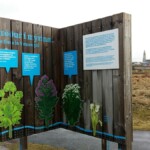 Skilti - Gróður í Vatnsmýrinni Skilti - Gróður í Vatnsmýrinni