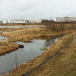 Sjálfboðaliðar við hreinsunarstörf