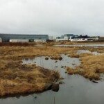 Friðlandið og Norræna Húsið