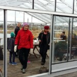 Sjálfboðaliðar og Sveinn