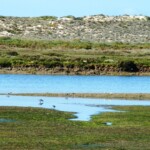 Ria Formosa Ria Formosa