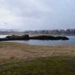 Séð yfir Hafnarhólmann frá Höfn. Ljósmynd: © Dögg Matthíasdóttir. Hafnarhólmi apríl 2018