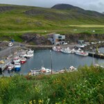 Borgarfjarðarhöfn séð frá Hafnarhólma. Ljósmynd: © Jess Chappell.