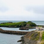 Hafnarhólmi. Ljósmynd: © Jess Chappell.