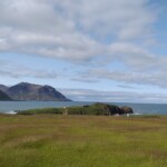 Hafnarhólmi síðsumars. Ljósmynd: © Jess Chappell.