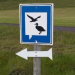 Fuglaskoðunarskilti. Ljósmynd: © Jess Chappell.