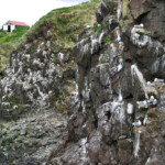 Hafnarhólmi, tehúsið. © Jóhann Óli Hilmarsson.