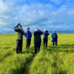 Fuglaskoðun í Friðlandi í Flóa 2022. Ljósmynd; Gunna Lára Pálmadóttir. ljsm. Guðrún Lára Pálmarsd. Fuglaskpun Friðlandi Flóa