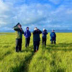 Fuglaskoðun í Friðlandi í Flóa 2022. Ljósmynd; Gunna Lára Pálmadóttir. ljsm. Guðrún Lára Pálmarsd. Fuglaskpun Friðlandi Flóa