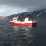 Bátur á grásleppuveiðum