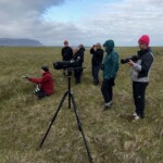 Fuglaskoðun í Friðlandi í Flóa. Ljósmynd; Trausti Gunnarsson