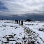 Sjálfboðaliðar í Friðlandi í Flóa.