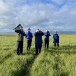 Fuglaskoðun í Friðlandi í Flóa 2020. Ljósmynd Gunna Lára Pálmadóttir.