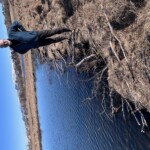 Sjálfboðaliði í Vatnsmýrinni í Reykjavík.