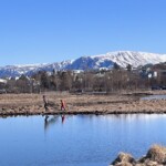 Sjálfboðaliðar í Vatnsmýrinni í Reykjavík.