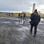 Fuglaskoðun 11. október 2025 Fuglaskoðun