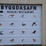 Fuglaskoðun 11. október 2025 Fuglaskoðun