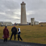 Fuglaskoðun 11. október 2025 Fuglaskoðun