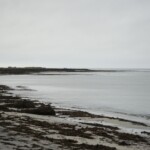 Fuglaskoðun 11. október 2025 Fuglaskoðun