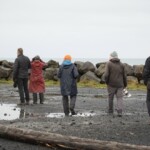 Fuglaskoðun 11. október 2025 Fuglaskoðun