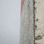 Þaraflugur á Garðskagavita gamla Fuglaskoðun