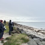 Fuglaskoðun 11. október 2025 Fuglaskoðun