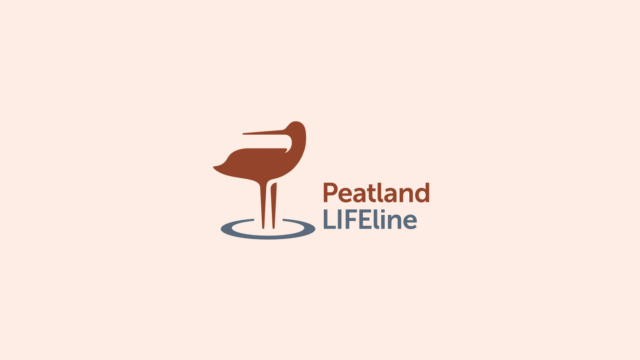 Nýtt lógó Peatland LIFEline. Hönnuður: Gunnar Karl Thoroddsen Nýtt lógó Peatland LIFEline. Hönnuður: Gunnar Karl Thoroddsen