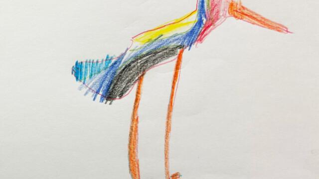 Innblástur nýs lógós Peatland LIFEline. Mynd: Marey Ólafía Kristinsdóttir Innblástur nýs lógós Peatland LIFEline. Mynd: Marey Ólafía Kristinsdóttir