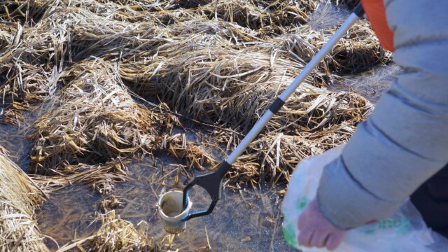 Vorverk í Vatnsmýrinni 2026