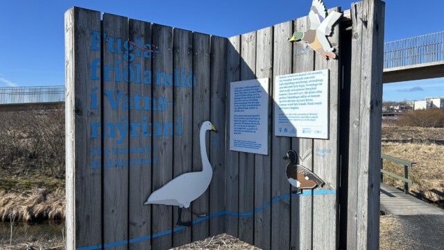 Vorverk í Vatnsmýrinni 2026