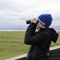 Mynd: Bára Huld Beck Fuglaskoðun í Friðlandi í Flóa 9. júní 2026