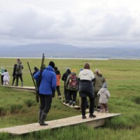 Mynd: Bára Huld Beck Fuglaskoðun í Friðlandi í Flóa 9. júní 2026