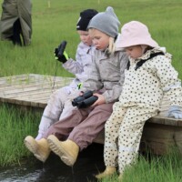 Mynd: Bára Huld Beck Fuglaskoðun í Friðlandi í Flóa 9. júní 2026